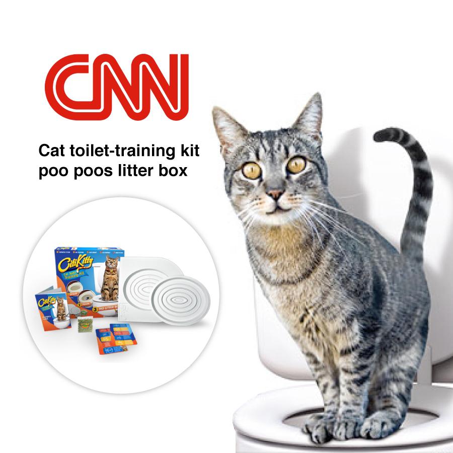 City kitty potty training best sale