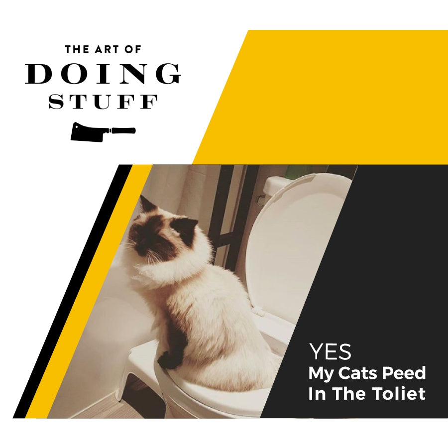 CitiKitty Cat Toilet Training Kit As Seen on Shark Tank CitiKitty Inc