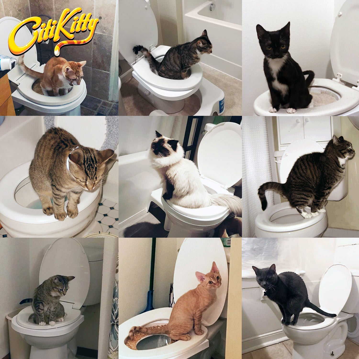 CitiKitty Cat Toilet Training Kit